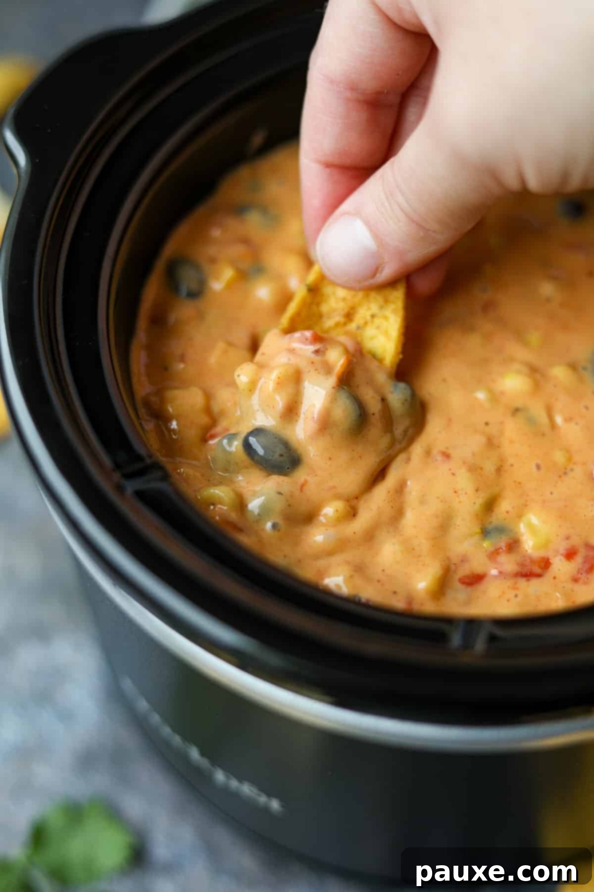 Zesty Fiesta Dip 13 A corn chip being gracefully dipped into a slow cooker brimming with rich Velveeta-based Southwest Dip, highlighting its warm and gooey texture.