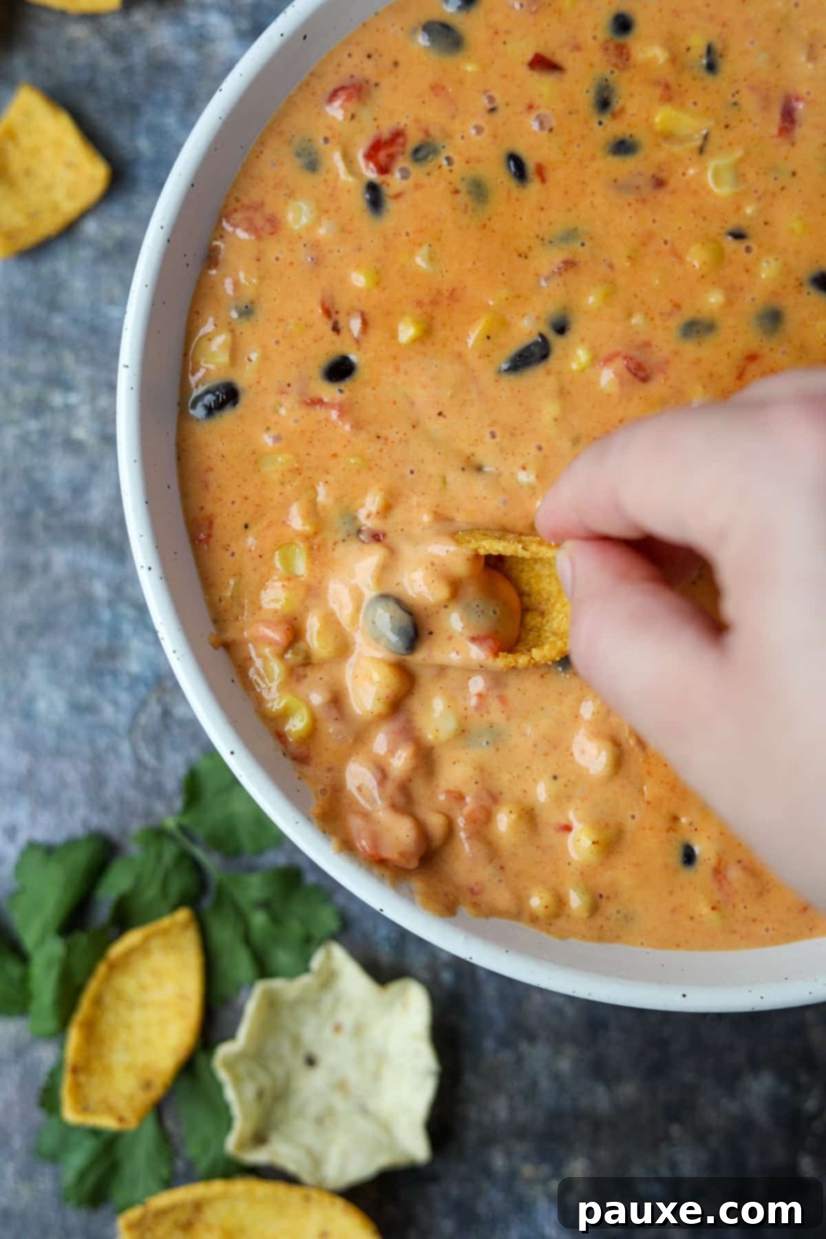 Zesty Fiesta Dip 14 A vibrant, close-up shot of creamy Southwest Dip, showcasing its rich texture and colorful ingredients like black beans and corn.