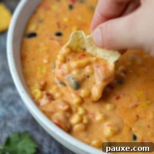 Zesty Fiesta Dip 15 A vibrant bowl of Southwest Dip, garnished with fresh cilantro, ready for serving with chips.