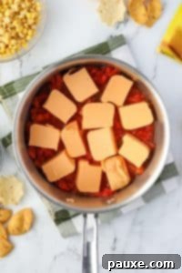 Zesty Fiesta Dip 16 A saucepan with Rotel and Velveeta inside.