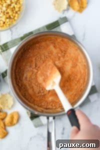 Zesty Fiesta Dip 18 Stirring taco seasoning into Rotel dip.