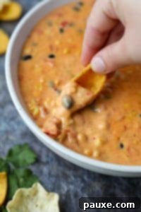 Zesty Fiesta Dip 20 Dipping a corn chip into a velveeta based dip.