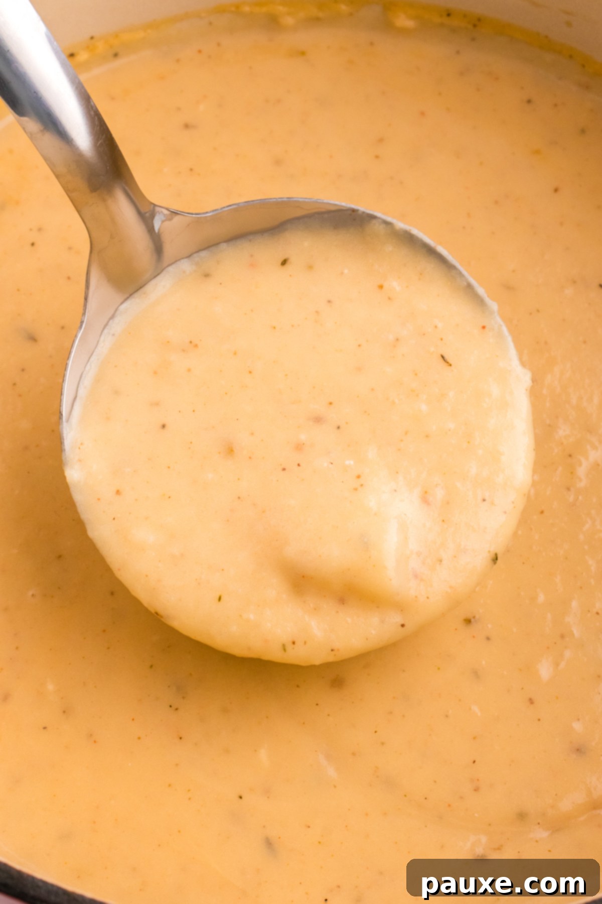 A ladle scooping a portion of rich, cheesy potato soup from a large Dutch oven.