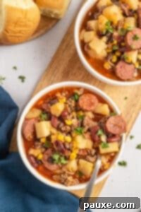 Rancher's Hearty Stew 22 Two bowls of hearty ground beef stew, garnished and ready to eat.