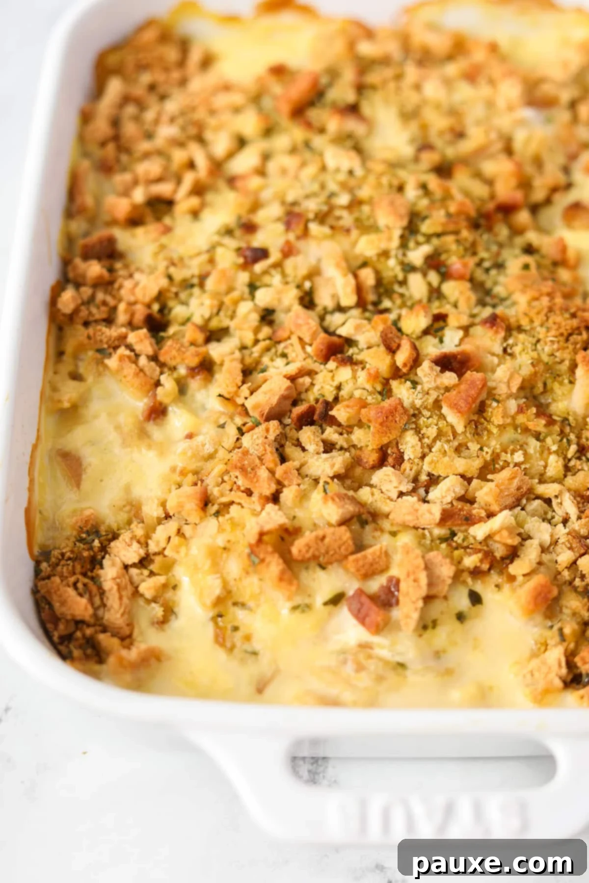 Alpine Chicken Comfort Bake 12 A close-up view of the perfectly baked chicken and stuffing casserole in the baking dish, showing the crispy topping.