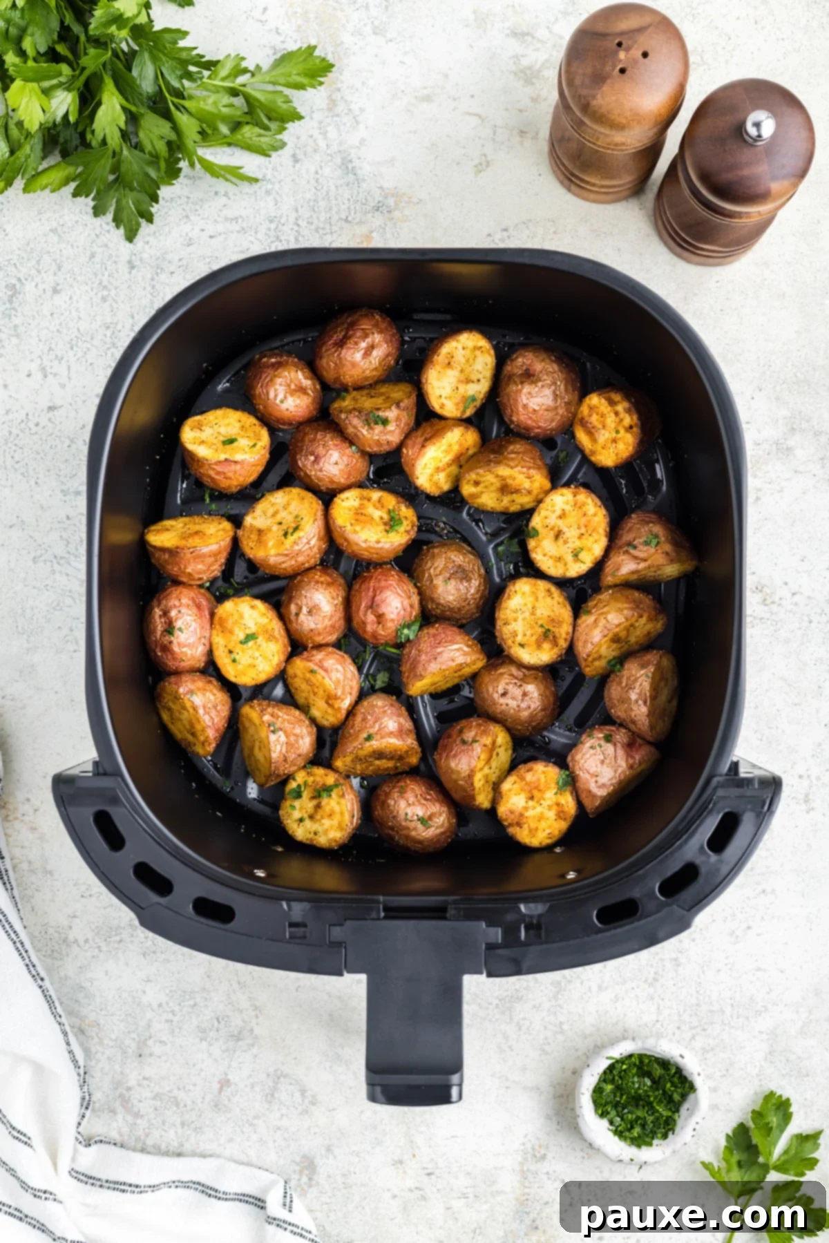 An air fryer basket showcasing beautifully roasted baby potatoes, golden and ready to serve.