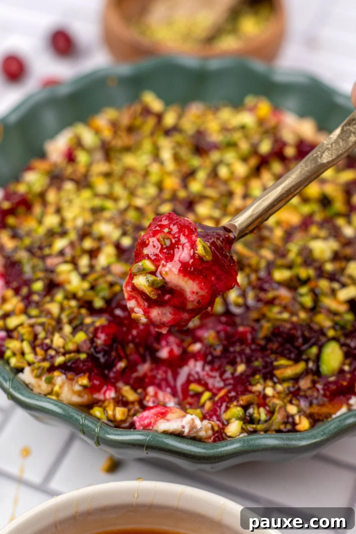 Spoonful of Cranberry Boursin Dip