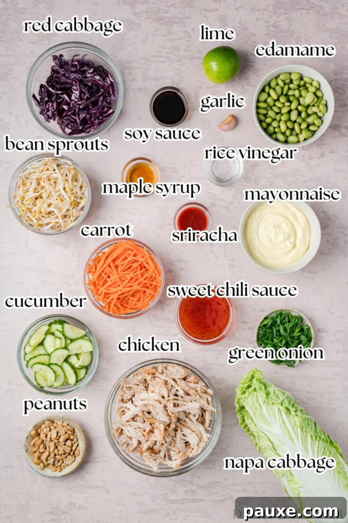 Bang Bang Chicken Salad: A Flavor Explosion 3 All the fresh ingredients for Bang Bang Chicken Salad.