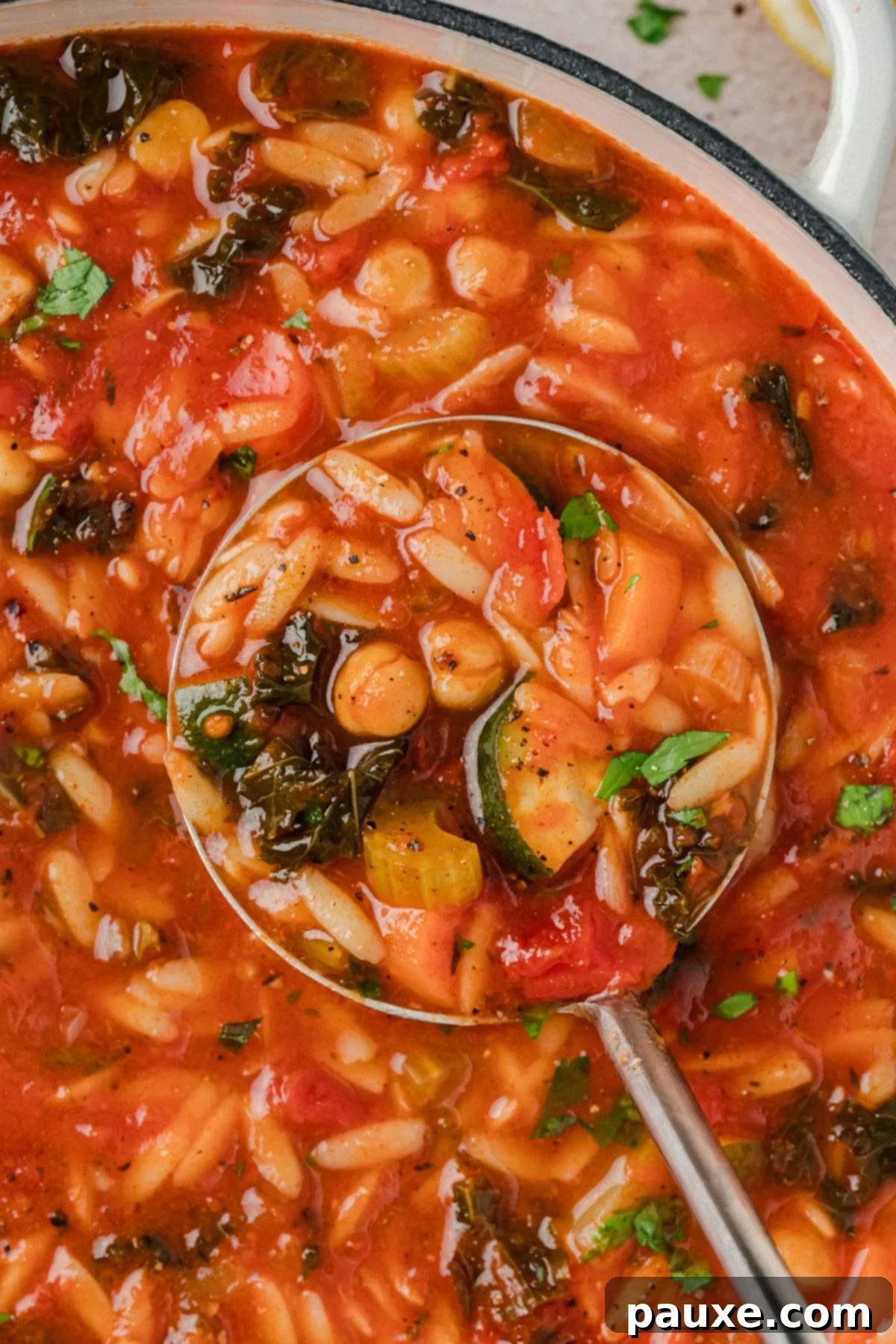 Vegetarian Orzo Delight 2 A ladle scooping vegetable orzo soup from a large pot