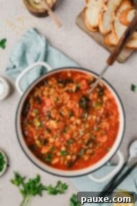 Vegetarian Orzo Delight 12 A soup pot filled with vegetable soup with orzo and chickpeas