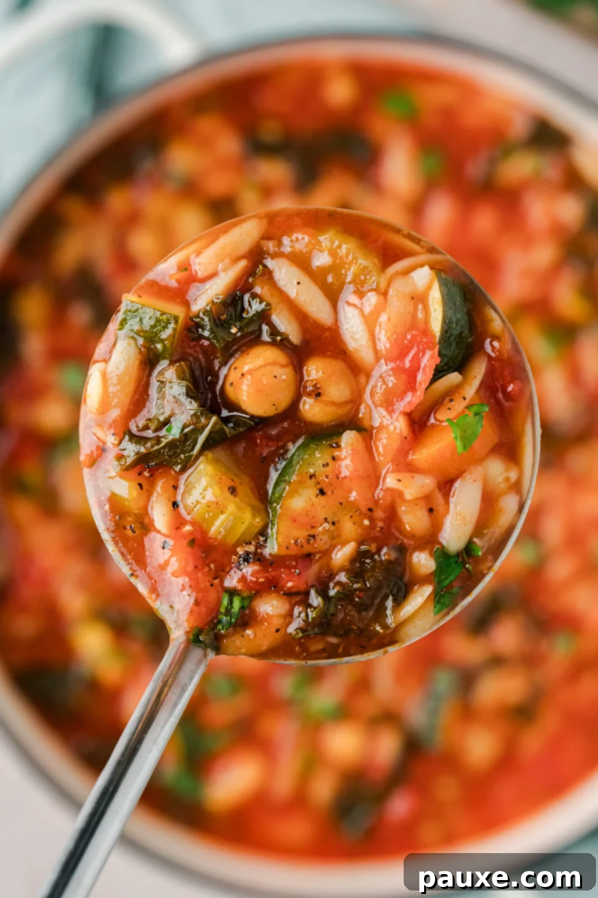 Vegetarian Orzo Delight 6 A ladle scooping vegetable orzo soup from a large Dutch oven