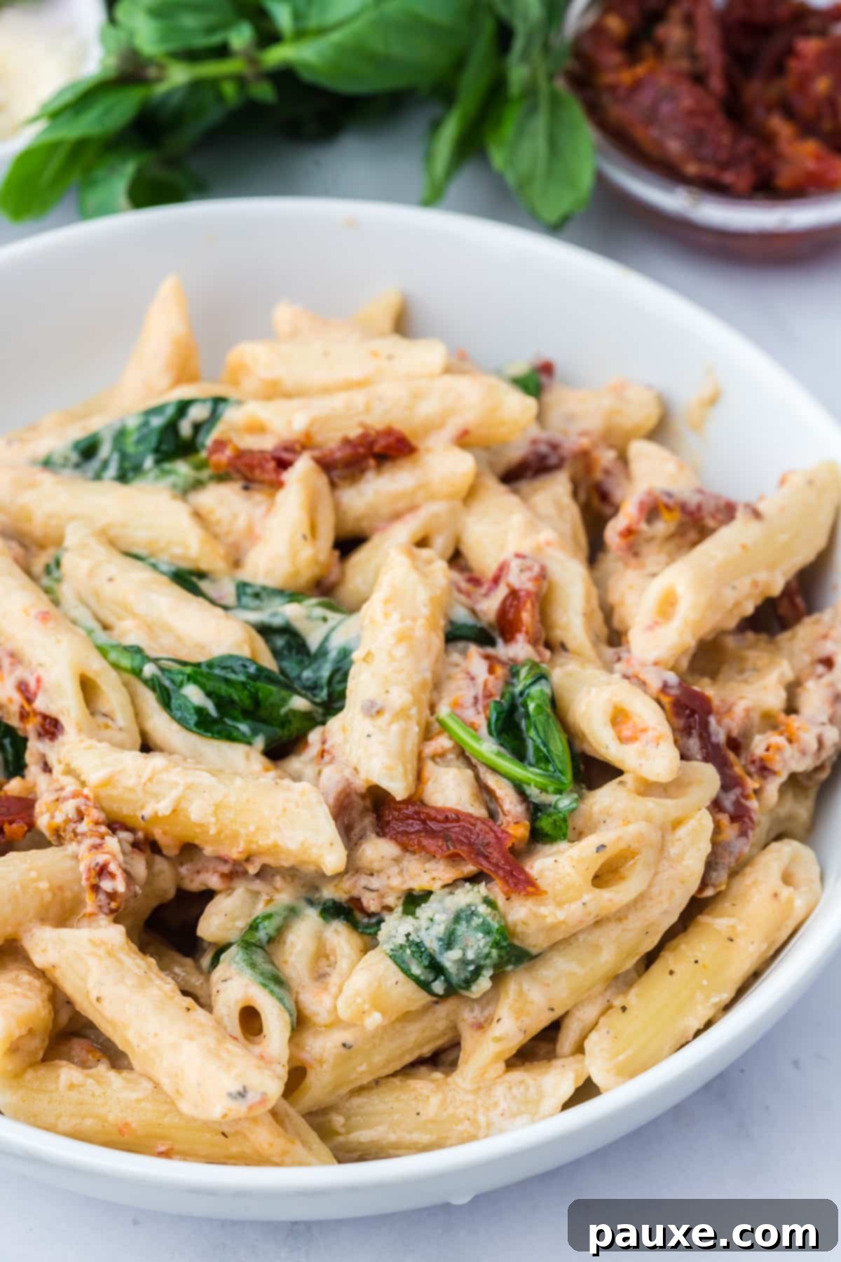 Delicious Creamy Tomato Pasta 8 A bowl of creamy penne pasta